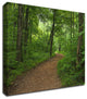 Summer Walk by David Hammond, Print on Canvas, 18"x14"