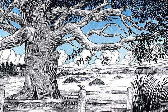 The Tree in the Field- Fine Art Giclee Print 24" x 36"