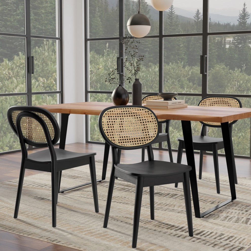 Rachel Dining Chair (Set of 2) in Black