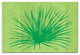 Tropical Green Palm 24x36 Canvas Wall Art