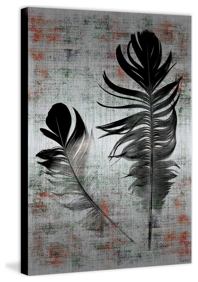 "Black Feathers" Print on Brushed Aluminum, 24"x36"