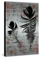"Black Feathers" Print on Brushed Aluminum, 24"x36"
