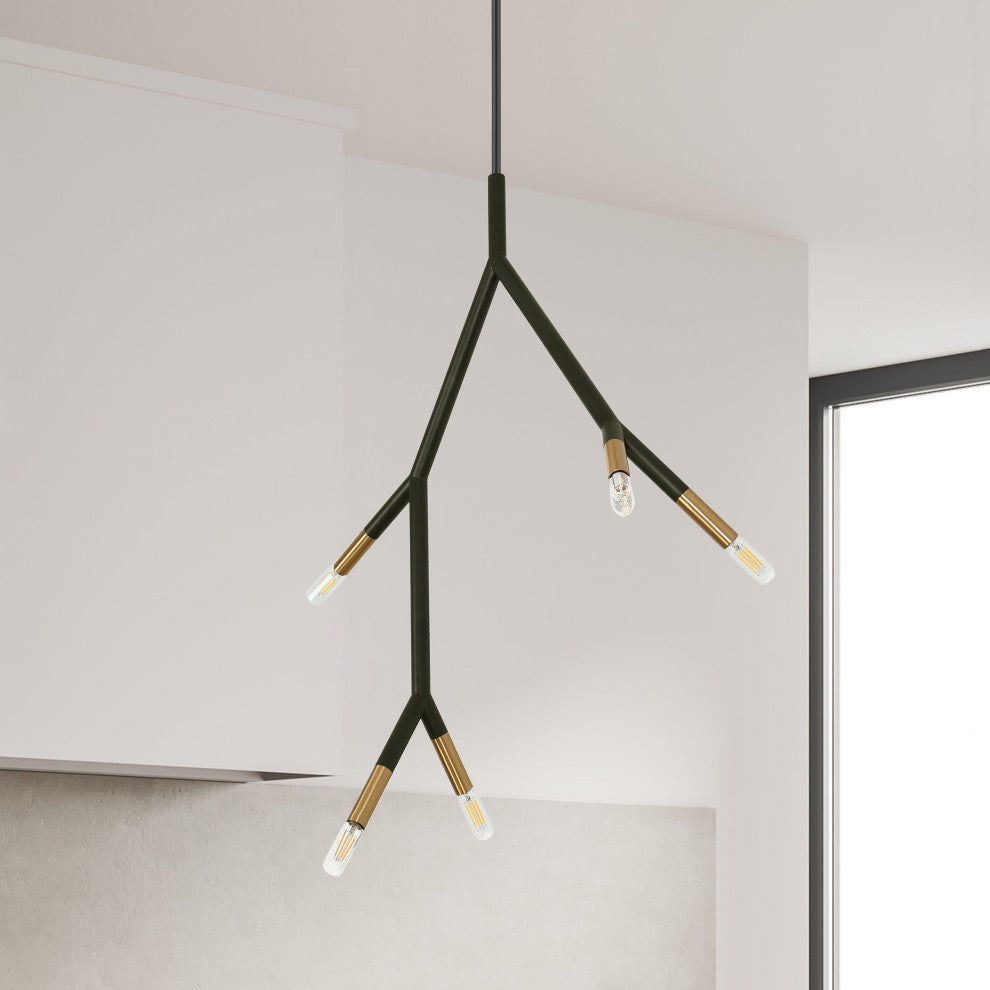 Morgan Transitional 5 Light Matte Black Aged Brass Metal Pendant