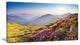 "Magic Pink Flowers on Mountains" Landscape Canvas Photo Print, 40"x20"