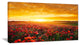 Poppy Field under Ablaze Sunset, Oversized Abstract Canvas Art Print, 60x28