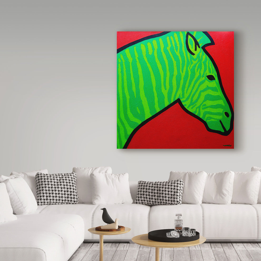 John Nolan 'Irish Zebra' Canvas Art, 35