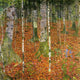 Gustav Klimt Farmhouse With Birch Trees Wall Decal