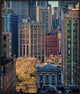 "City Life" Framed Canvas Giclee by Liyun Yu, 34x41"