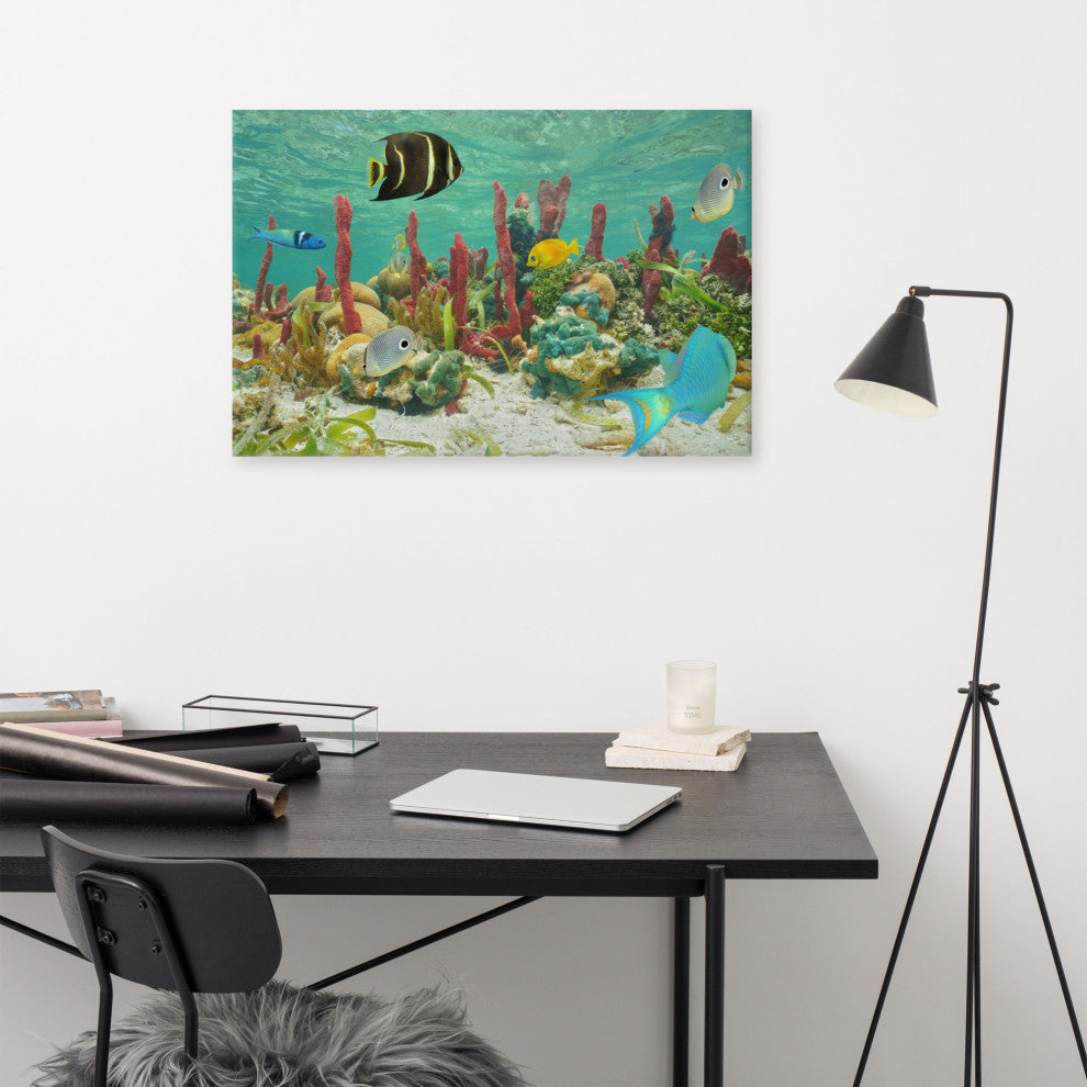 Colorful Tropical Fish Marine Life Coral Reef Wildlife Photo Canvas Art Print, 24" X 36"