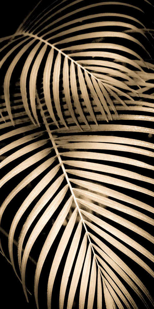 Palm Design 8, Fine Art, 20"x40"