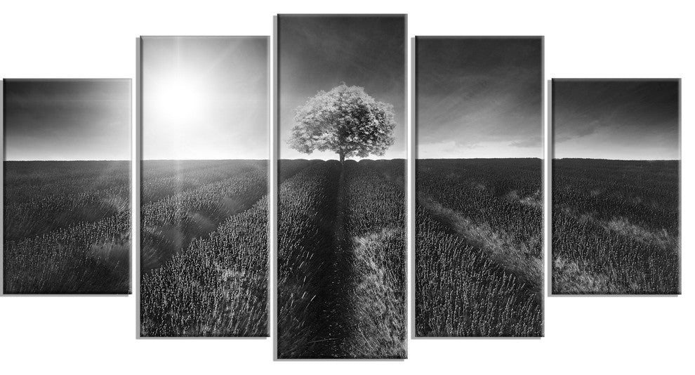 Beautiful Black White Lavender Field, Landscape Canvas Art, 60"x32", 5 Panels