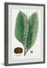 "Flore des Environs de Paris" Framed Painting Print, 24"x36"