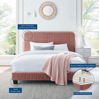 Celine Channel Tufted Performance Velvet King Platform Bed, Dusty Rose