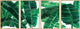 New Orleans II Quadriptych, 80x30