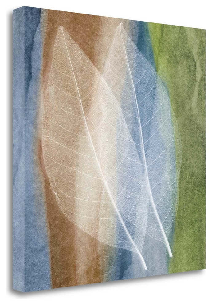 "Leaf Structure I" By John Rehner, Giclee Print on Gallery Wrap Canvas