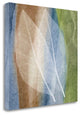 "Leaf Structure I" By John Rehner, Giclee Print on Gallery Wrap Canvas