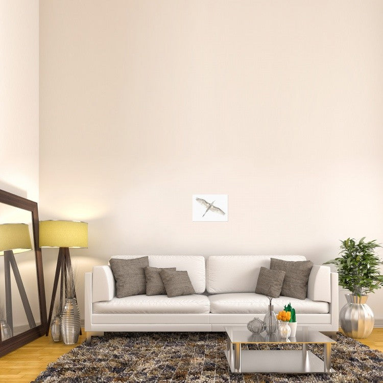 "Fly" Stretched Canvas Giclee by Keren Or, 16"x12"