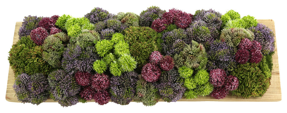 Sedum, Pompom and Moss Arrangement in a  Wood Planter