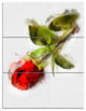 Red Rose with Stem Drawing, Flower Artwork on Canvas, 28x36, 3 Panels