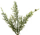 75" Artificial Cedar Garland. , 75"
