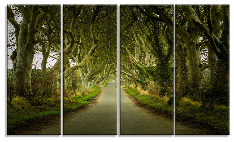 Dark Hedges Road through Old Trees, Landscape Canvas Print, 48"x28", 4 Panels