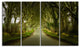 Dark Hedges Road through Old Trees, Landscape Canvas Print, 48"x28", 4 Panels