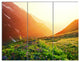 Beautiful Meadow on Sunny Day, Landscape Triptych Canvas Art, 36x28, 3 Panels