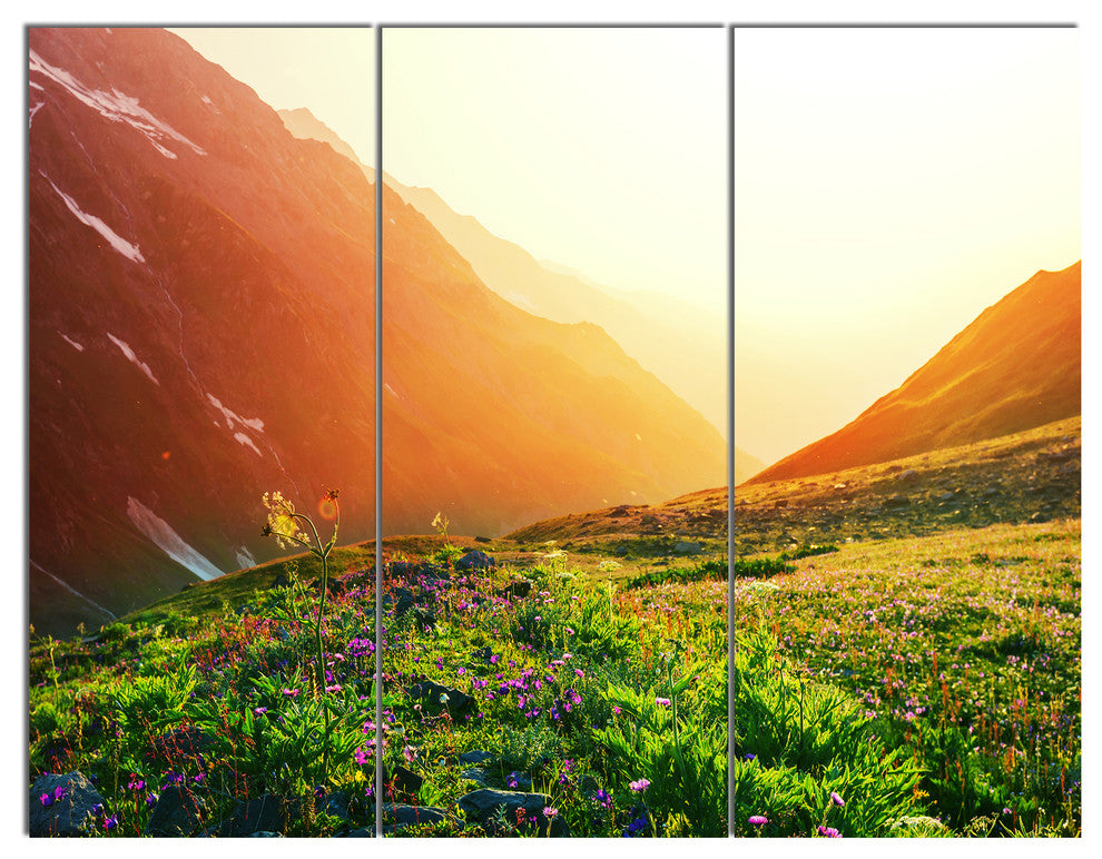 Beautiful Meadow on Sunny Day, Landscape Triptych Canvas Art, 36x28, 3 Panels