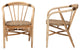 Modern Bohemian Natural Brown Rattan 2-Piece Wood Dining Chair Set
