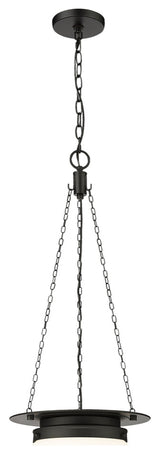 Z-LITE 1-Light Pendant, Matte black
