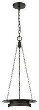 Z-LITE 1-Light Pendant, Matte black
