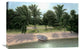 "Lakeside Palms" Stretched Canvas Giclee by Diane Romanello, 30"x20"