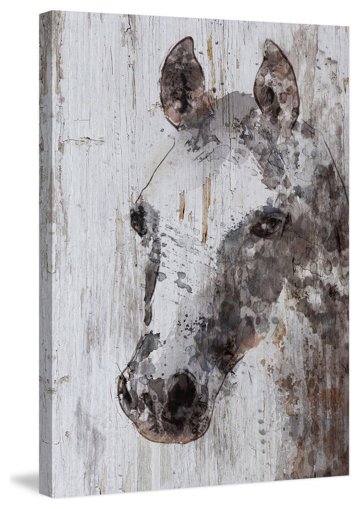 "Jack Horse" by Irena Orlov Painting Print Wrapped Canvas, 24x36