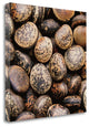 "Pebble Textures" By Jeff, Giclee Print on Gallery Wrap Canvas, Ready to Hang