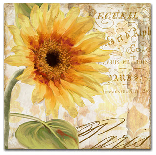 Color Bakery 'Ete I' Canvas Art, 24"x24"