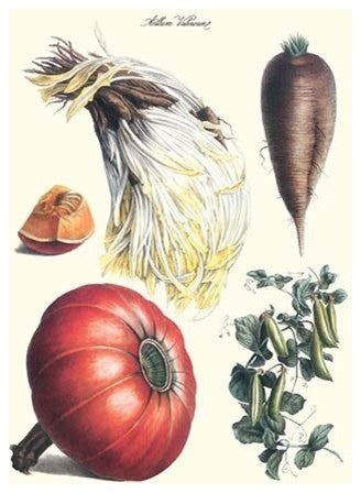 Vegetables; Peas, Melon, Brussel Sprouts, Gourb - Fine Art Giclee Print