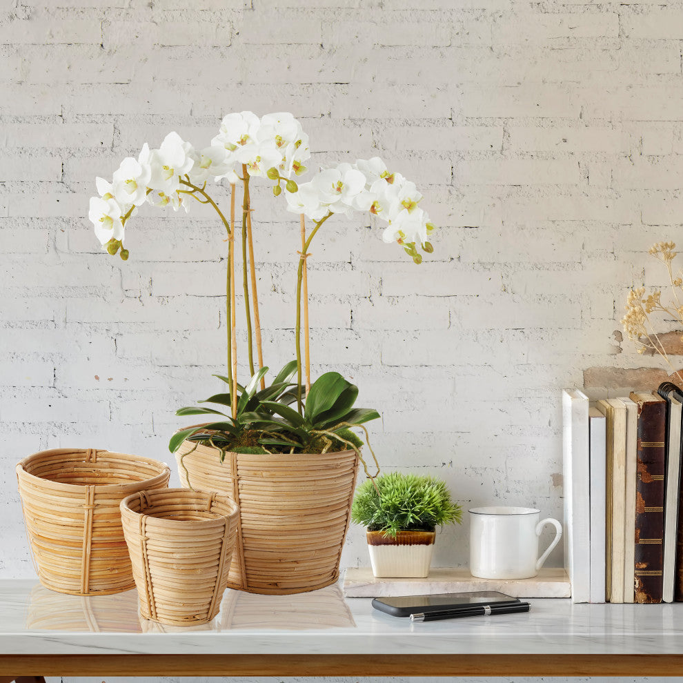 Cane Rattan Mini Round Tapered Baskets, Set of 3