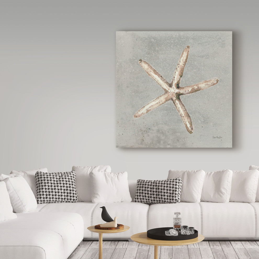 Lisa Audit ''Sand And Seashells Iii'' Canvas Art, 35"x35"