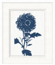 Navy Flower 2, Giclee Reproduction Artwork