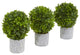 9" Boxwood Artificial Mini Topiary, Set of 3
