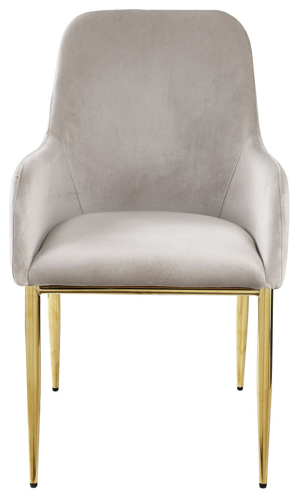 ACME Barnard Side Chair, Set of 2, Gray Velvet and Mirrored Gold
