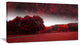 Mystical Red Spring Night, Landscape Canvas Art Print, 32"x16"