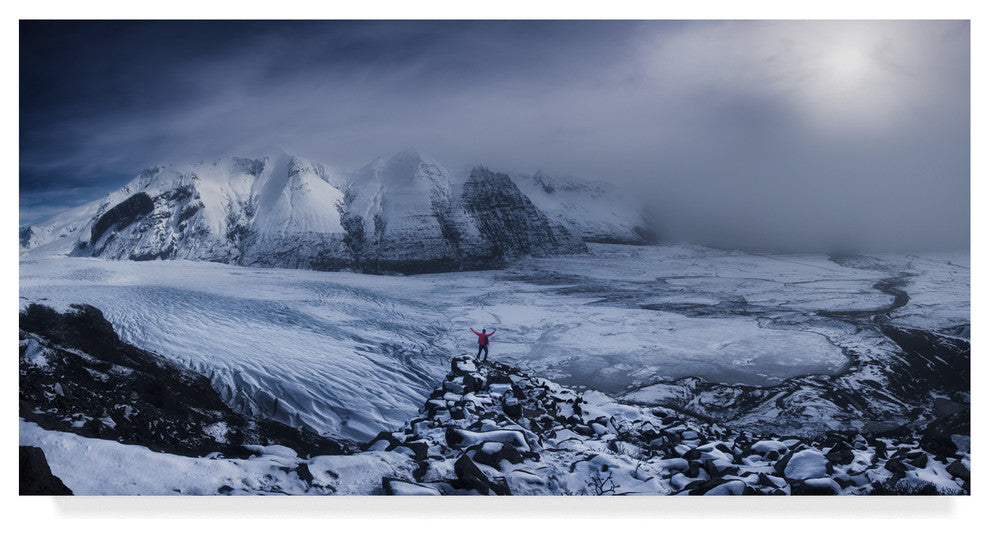 Carlos F Turienzo 'Wanderer Snow' Canvas Art, 24"x12"