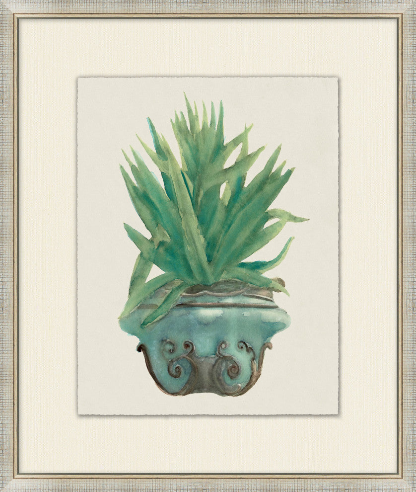 Aloe Pot 6, Giclee Reproduction Artwork