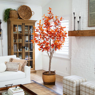 Lifestyle image showing the tree in a room with a pot; full product visible.