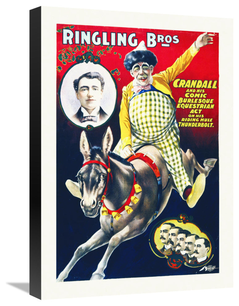 Ringling Bros,  Equestrian Act On His Riding Mule Thunderbolt, 15x22