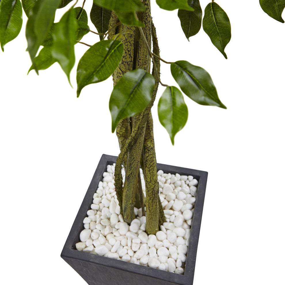 Close-up of trunk and planter on white background.