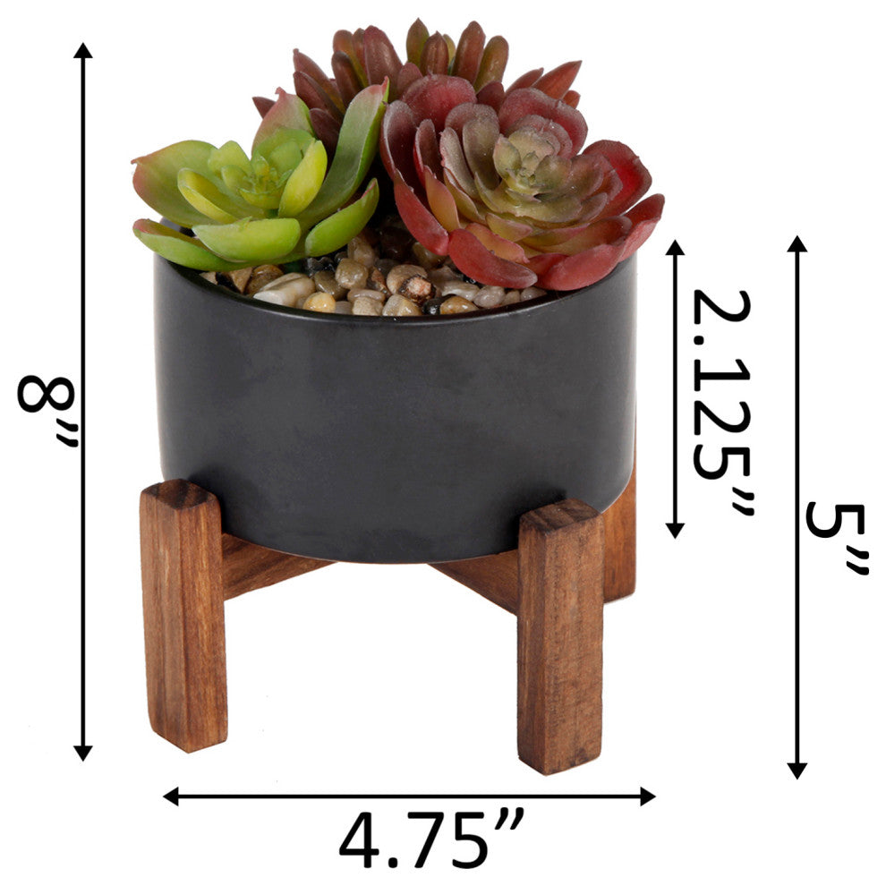 4" Succulents Mix In Pot W/ Stand