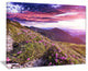 "Rhododendron Flowers in Hills" Landscape Photo Wall Art, 20"x12"