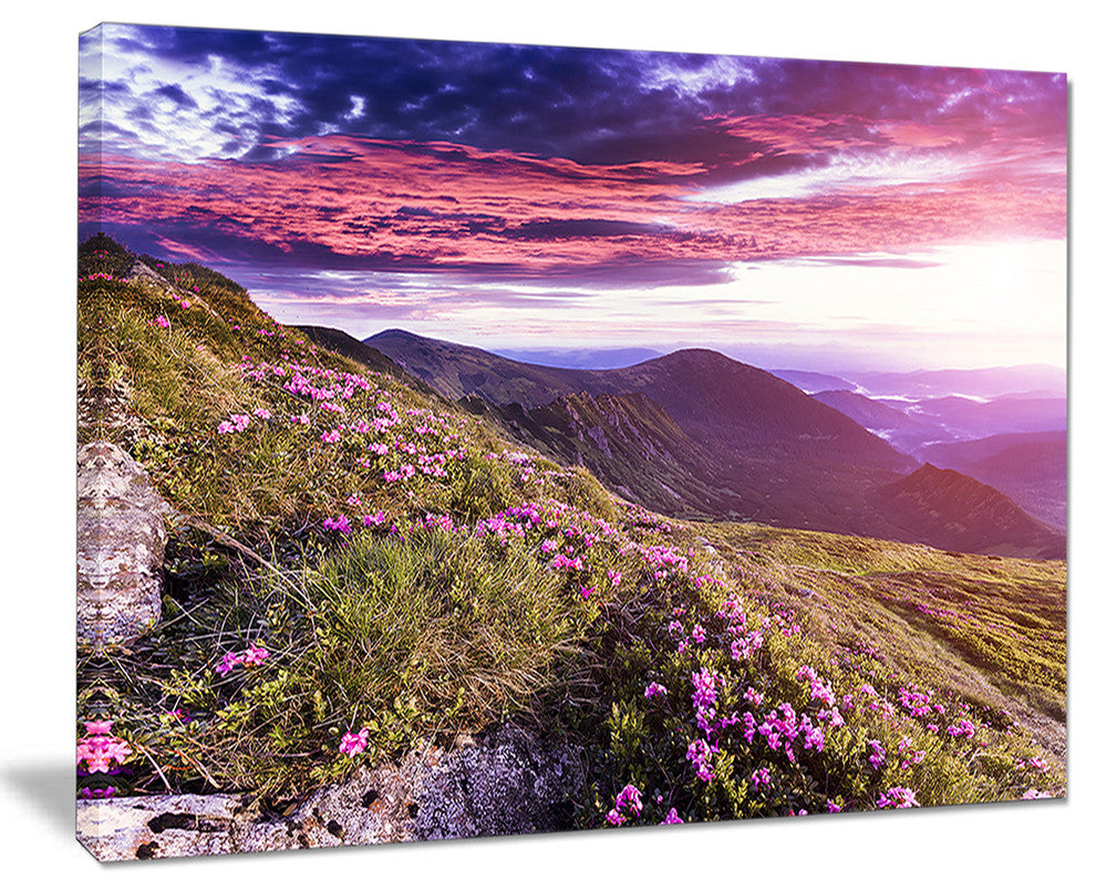 "Rhododendron Flowers in Hills" Landscape Photo Wall Art, 20"x12"